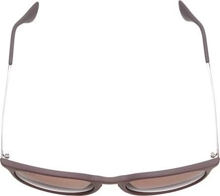 Ray-Ban RB4171 Erika Classic 54mm braun/braun-violett Verlauf