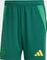 adidas Celtic FC 2024/2025 Auswärtsshorts team dark green (Herren) Vorschaubild