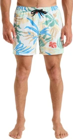 Quiksilver Everyday Straight 15" Badeshorts white/blueweed (Herren)