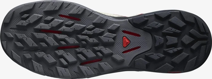 Salomon OUTpulse GTX bleached sand/black/poppy red (Herren)