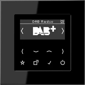Jung Serie A Smart Radio DAB+, schwarz (DAB A SW)