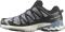 Salomon XA Pro 3D V9 GTX flint stone/black/ghost gray (Herren) Vorschaubild