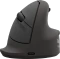 Fellowes Breyta Plus Vertical Mouse, large, schwarz, USB/Bluetooth Vorschaubild