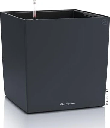 Lechuza Cube Color 40