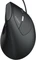Rapoo EV200 Ergonomic Wired Mouse schwarz/silber, USB Vorschaubild