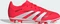 adidas Predator Club MG lucid red/cloud white/core black (Junior) Vorschaubild