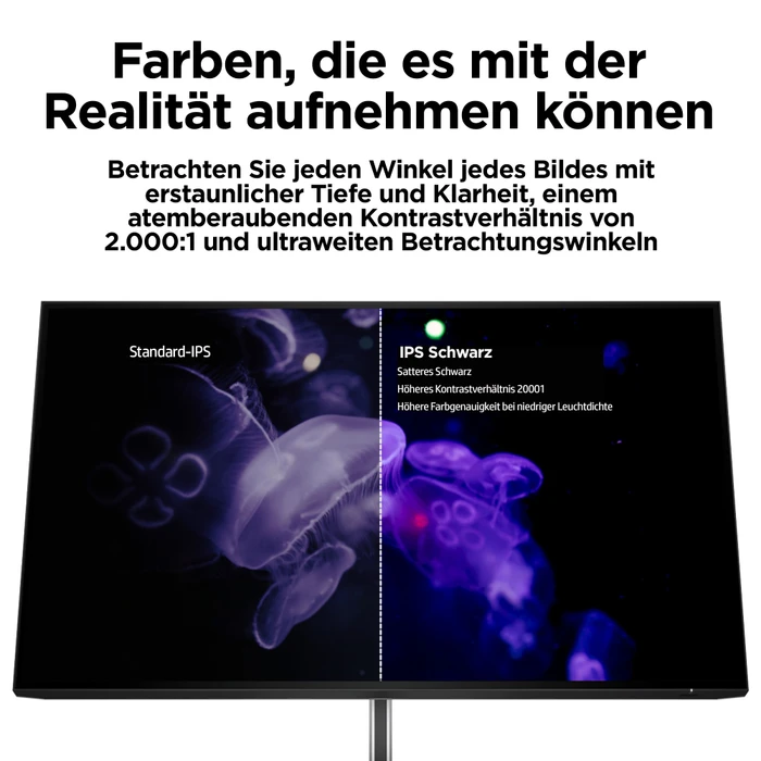 HP Z32k G3, 5 Jahre Garantie, 31.5"