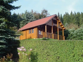 Wolff Finnhaus Sauerland 5261 92 Gartenhaus natur