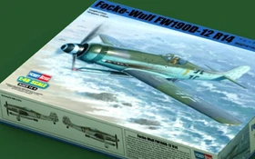 HobbyBoss Focke-Wulf FW190D-12 R14