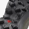Salomon Speedcross 5 grape leaf/black/phantom (Herren) Vorschaubild