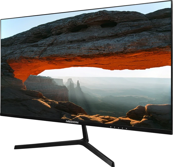 Medion P52218, 22"