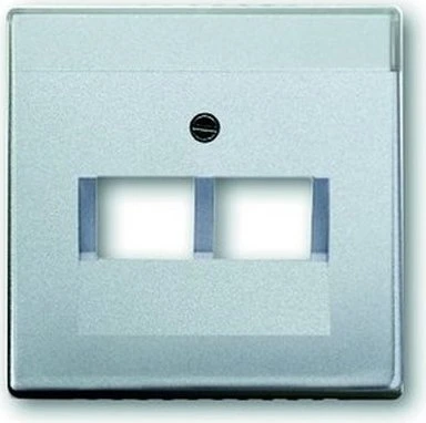 Busch-Jaeger Zentralscheibe 2-fach, alusilber