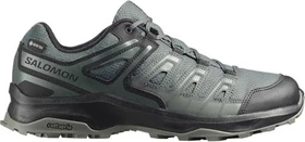 Salomon Extegra GTX urban chic/black/plantation (Herren)