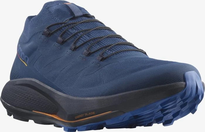 Salomon Pulsar Trail Pro estate blue/night sky/dazzling blue (Herren)