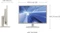 Samsung SB420, weiß, 22" Vorschaubild