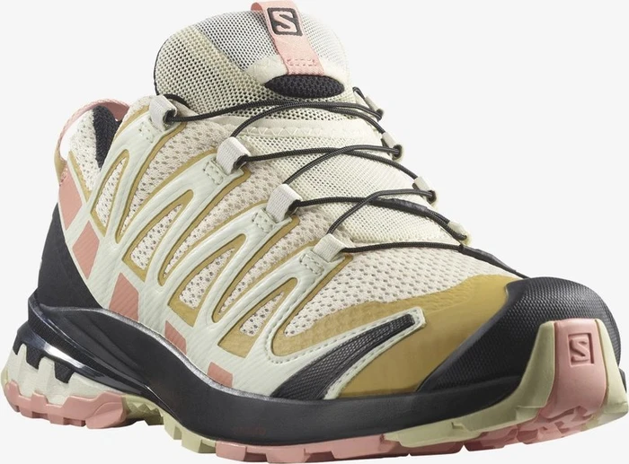 Salomon XA Pro 3D V8 frozen dew/blooming dahlia/vanilla ice (Damen)