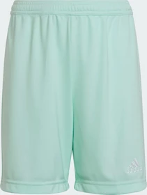 adidas Entrada 22 Shorts clear mint (Junior)