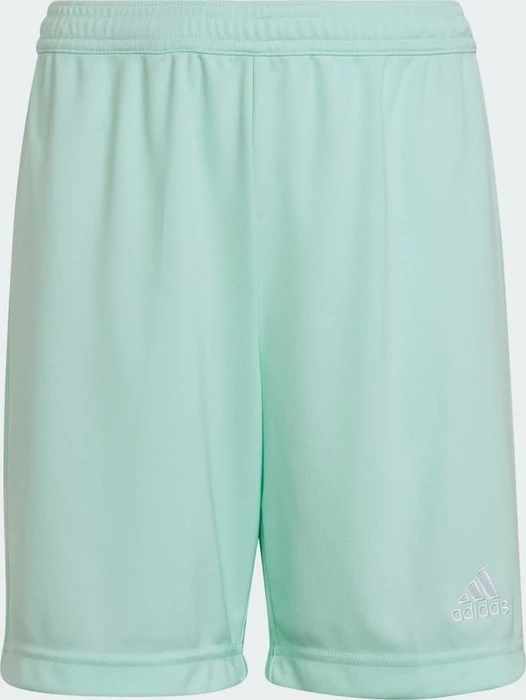 adidas Entrada 22 Shorts clear mint (Junior)