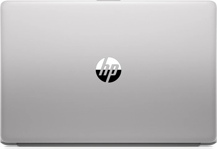 HP 255 G7, Asteroid Silver, Ryzen 5 3500U, 8GB RAM, 256GB SSD, DE