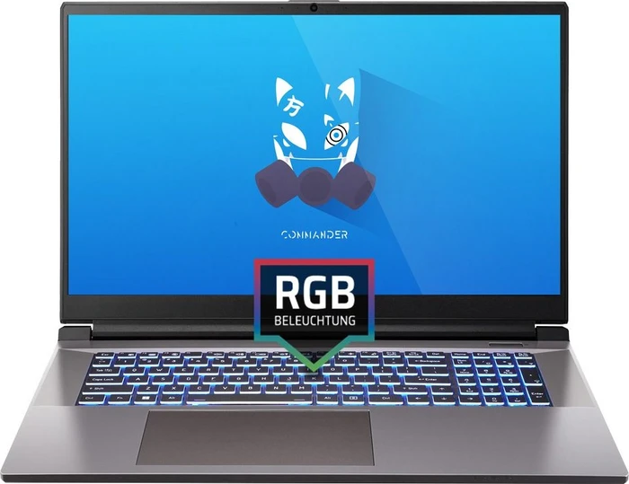 ONE GAMING Commander V73-13NB-RN8, Core i9-13900H, 16GB RAM, 1TB SSD, GeForce RTX 4070, DE