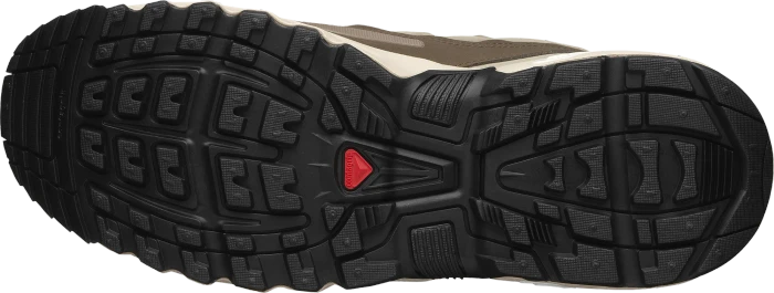 Salomon ACS+ CSWP falcon/cement/vanilla ice
