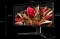 TCL 34R83Q, 34" Vorschaubild