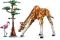 LEGO Creator 3in1 - Tiersafari Vorschaubild