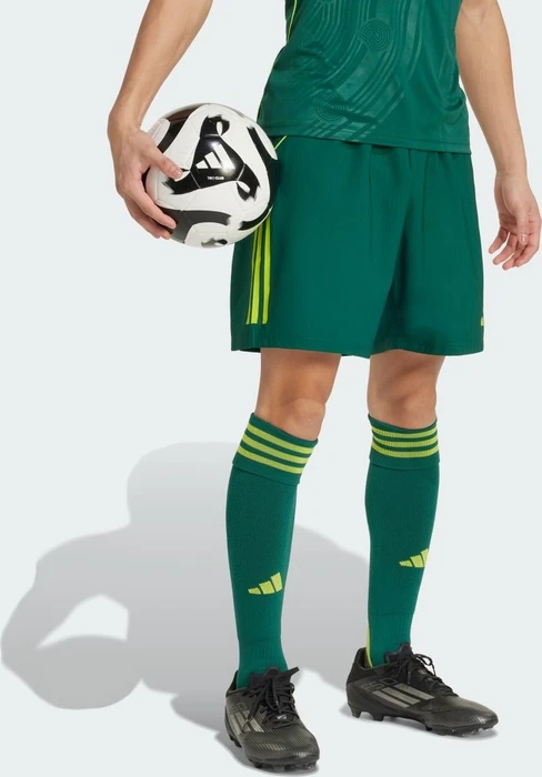 adidas Tiro 25 Competition Match Hose kurz collegiate green (Herren)