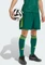 adidas Tiro 25 Competition Match Hose kurz collegiate green (Herren) Vorschaubild