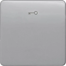 Siemens DELTA profil Wippe mit Symbol Türöffner für Taster, silber