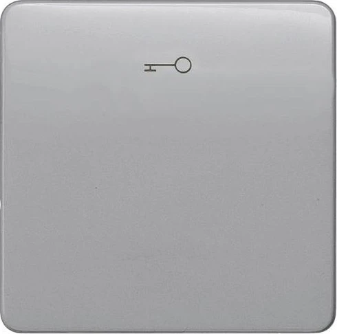 Siemens DELTA profil Wippe mit Symbol Türöffner für Taster, silber