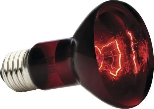 Exo Terra Reptile Infrared Basking Spot, Halogen Wäremlampe