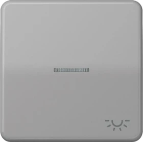 Jung Serie CD Wippe Duroplast mit Symbol "Licht" und Lichtleiter, grau