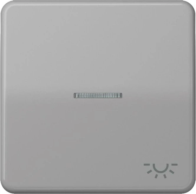Jung Serie CD Wippe Duroplast mit Symbol "Licht" und Lichtleiter, grau