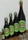 Hirschkuss Kräuterlikör 700ml