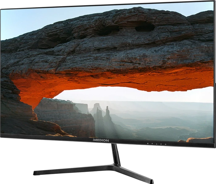 Medion P52218, 22"