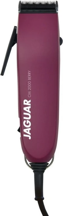 Jaguar CM2000 berry