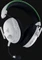 Razer BlackShark V3 Pro Vorschaubild