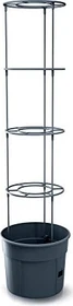 Prosperplast Tomaten- 29.5cm anthrazit