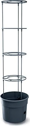 Prosperplast Tomaten- 29.5cm anthrazit
