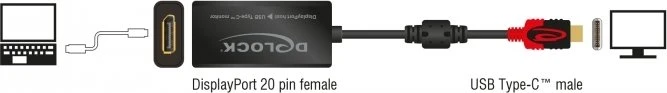 DeLOCK DisplayPort 1.2/USB-C Adapter, 20cm