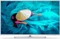 Philips HFL6014U Vorschaubild