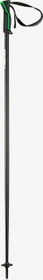 Head Frontside Alpin Skistock anthrazit/grün (Modell 2022/2023)