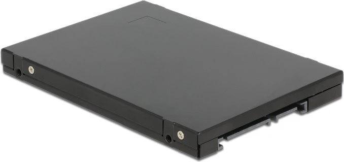 DeLOCK SATA -> mSATA