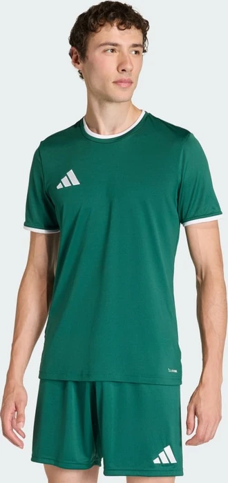 adidas Entrada 26 Trikot kurzarm team dark green/white (Herren)
