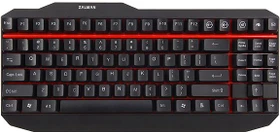 Zalman ZM-K500, Kailh RED, USB, US