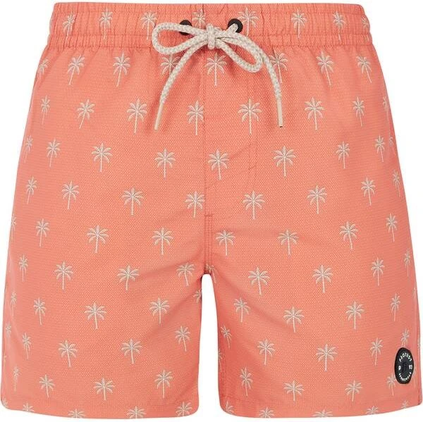 Protest Alvis Badeshorts (Herren)