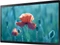 Samsung QB24R-B, 23.8" Vorschaubild