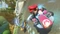 Mario Kart 8 (WiiU) Vorschaubild