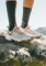 Jack Wolfskin Prelight Swift Vent Low sunset coral (Damen) Vorschaubild